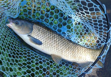 暑い！ ～フィシングパーク高島の泉～